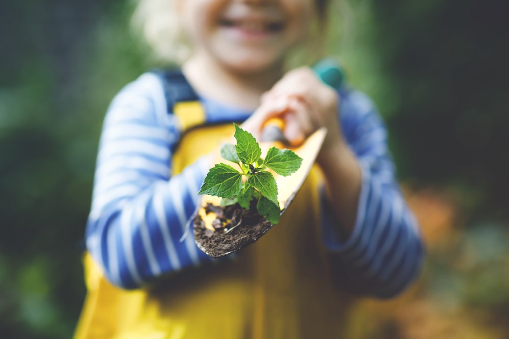Une petite fille plante un arbre pour le jour de la terre